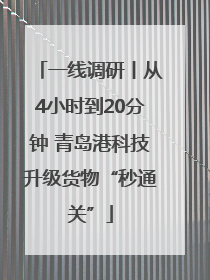 一线调研丨从4小时到20分钟 青岛港科技升级货物“秒通关”